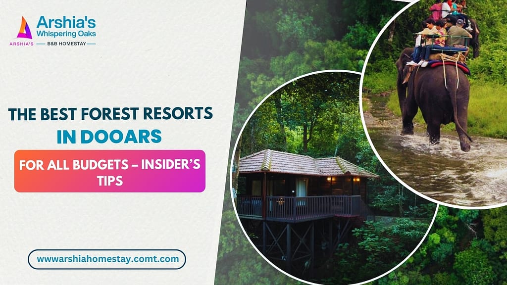The Best Forest Resorts in Dooars for All Budgets – Insider’s Tips 4 best forest resort in dooars