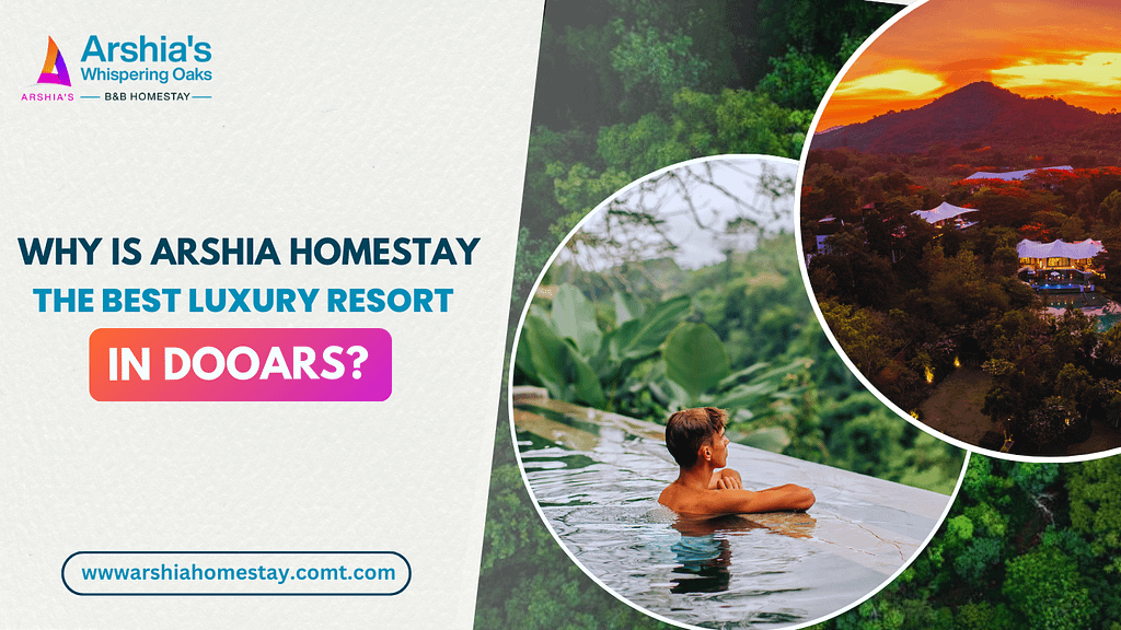 Why is Arshia Homestay the Best Luxury Resort in Dooars? 2 luxury resort in dooars