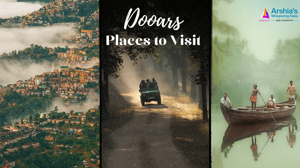 Discover the Wilderness of Dooars: 10 Must-Visit Places with Arshia Homestay 6 paces in dooars