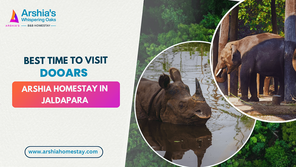 Best Time to Visit Dooars – Arshia Homestay in Jaldapara 1 right time to visit dooars