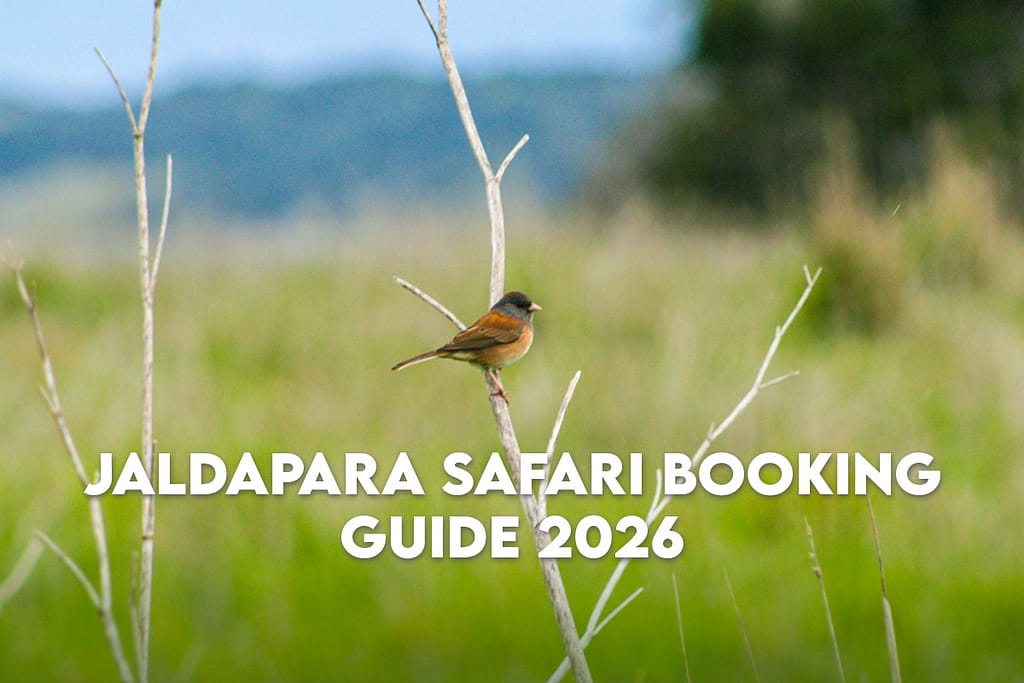 What Is Jaldapara Safari Booking? 1 Jaldapara Safari Booking Guide 2026 cover—bird in grassland with car safari and elephant ride guide title