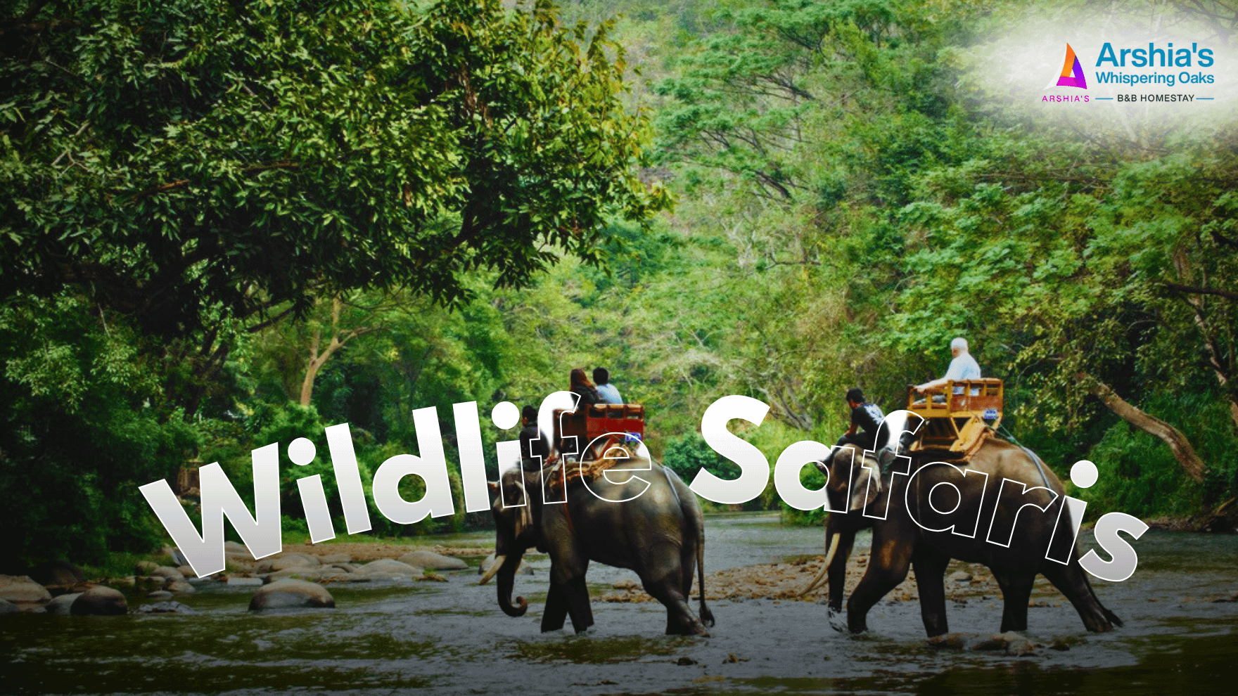 Why Choosing a Homestay in Jaldapara Enhances Your Travel Experience 4 wildlife safary in jaldapara