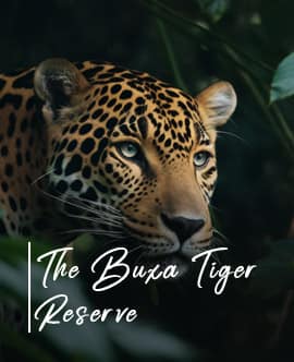 buxa-tiger-reserve