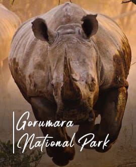 gorumara-national-park